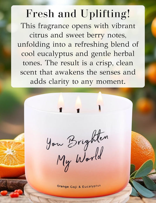 Orange Goji Berry & Eucalyptus 3-Wick Scented Candle - 15.8 Oz Aromatherapy Candle for Stress Relief & Relaxation - Perfect Gift for Everyone - You Brighten My World