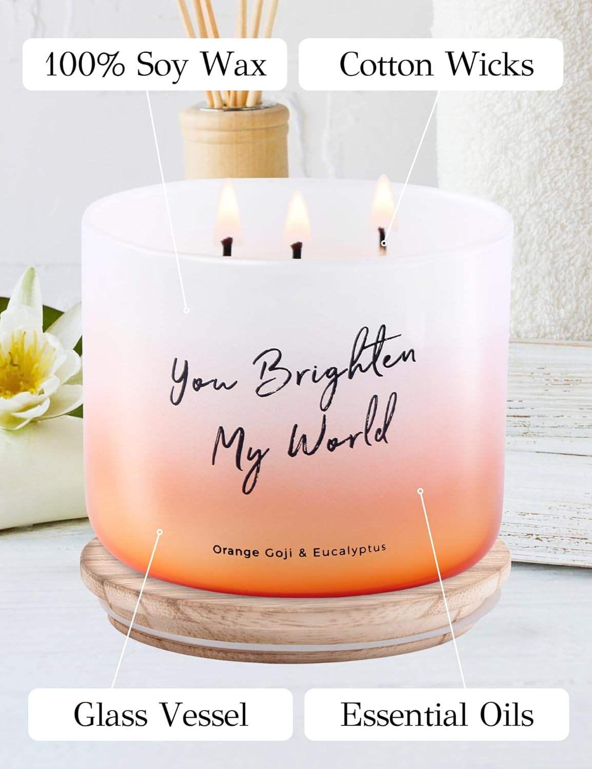 Orange Goji Berry & Eucalyptus 3-Wick Scented Candle - 15.8 Oz Aromatherapy Candle for Stress Relief & Relaxation - Perfect Gift for Everyone - You Brighten My World